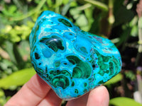 Polished Malacolla Free Forms x 6 From Kalukundi Mine, Congo