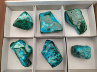 Polished Malacolla Free Forms x 6 From Kalukundi Mine, Congo