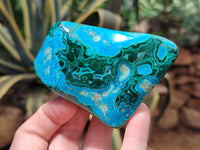 Polished Malacolla Free Forms x 6 From Kalukundi Mine, Congo