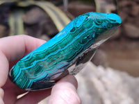 Polished Malacolla Free Forms x 6 From Kalukundi Mine, Congo