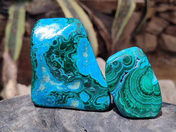 Polished Malacolla Free Forms x 6 From Kalukundi Mine, Congo