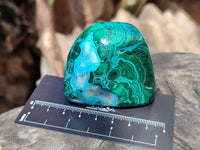 Polished Malacolla Free Forms x 6 From Kalukundi Mine, Congo