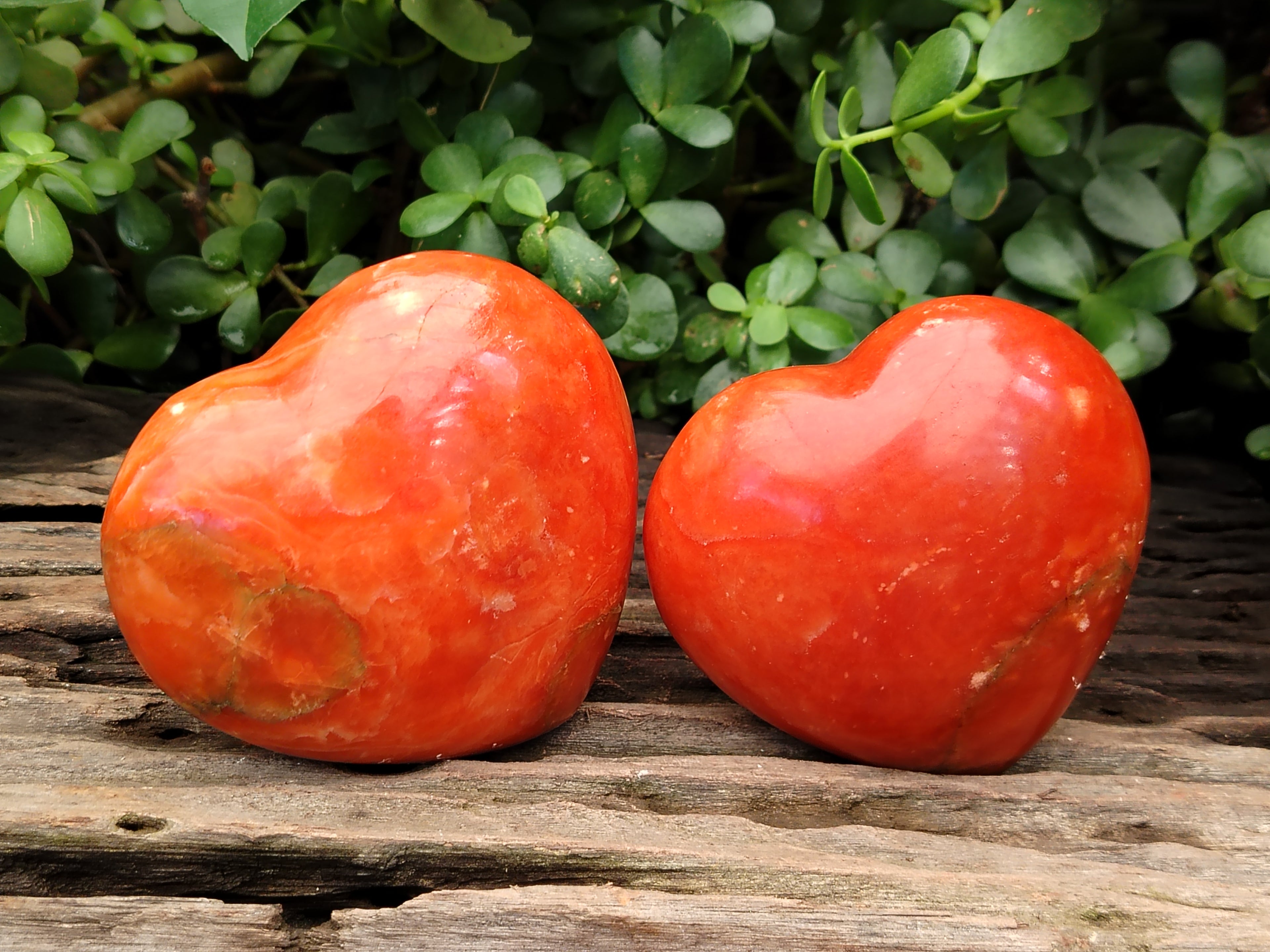 Polished Orange Twist Calcite Gemstone Hearts x 2 From Madagascar - Toprock Gemstones and Minerals 