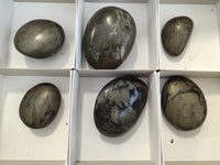 Polished Pharaoh Stone Free Forms x 6 From Zimbabwe
