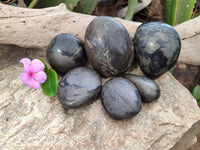 Polished Pharaoh Stone Free Forms x 6 From Zimbabwe