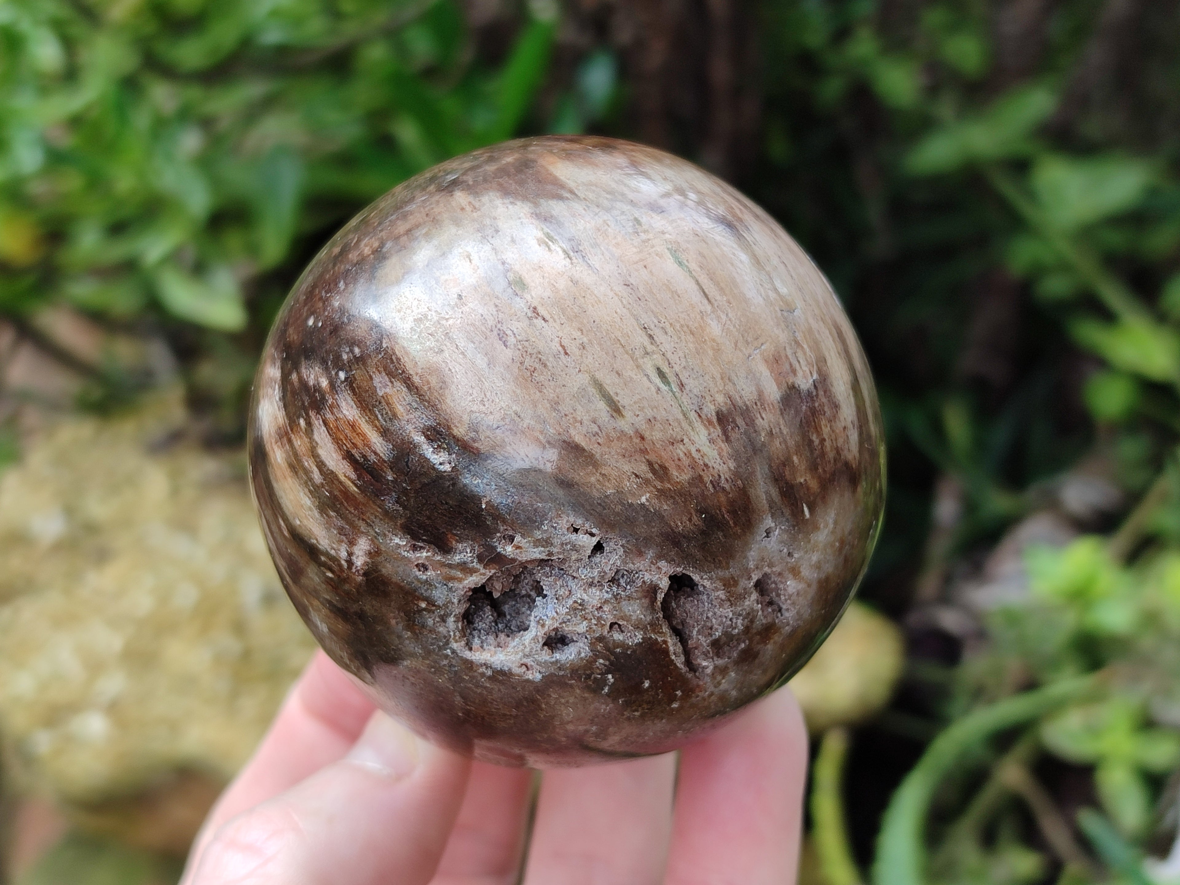 Polished Petrified Wood Spheres x 3 From Gokwe, Zimbabwe - Toprock Gemstones and Minerals 
