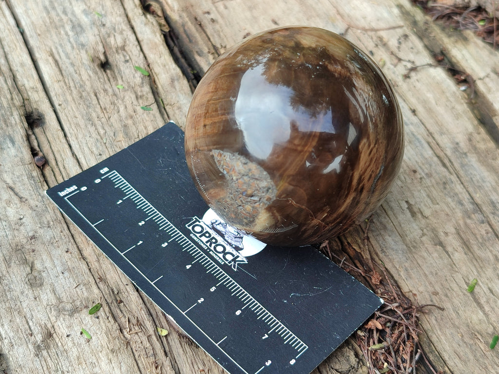 Polished Petrified Wood Spheres x 3 From Gokwe, Zimbabwe - Toprock Gemstones and Minerals 