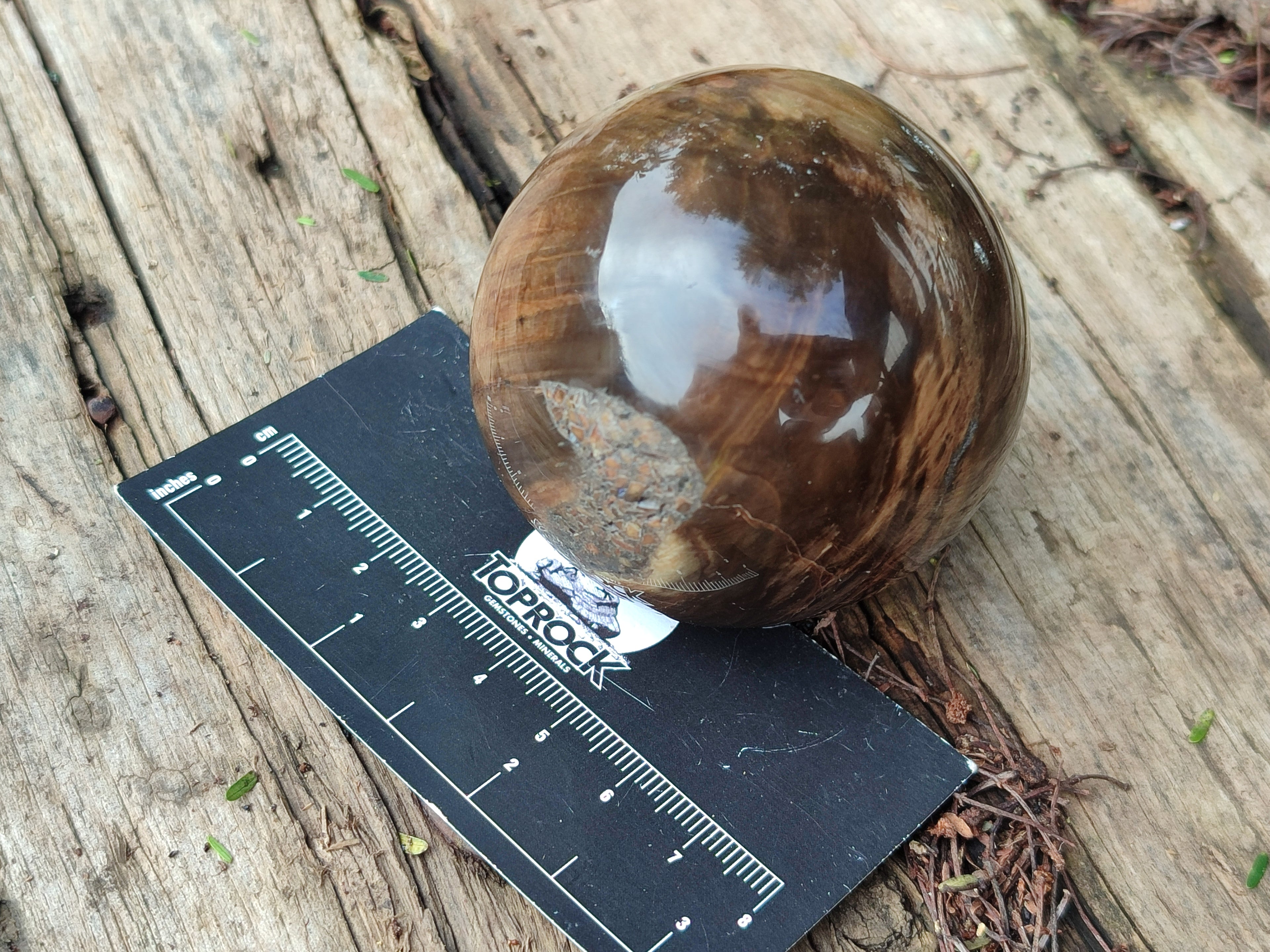 Polished Petrified Wood Spheres x 3 From Gokwe, Zimbabwe - Toprock Gemstones and Minerals 