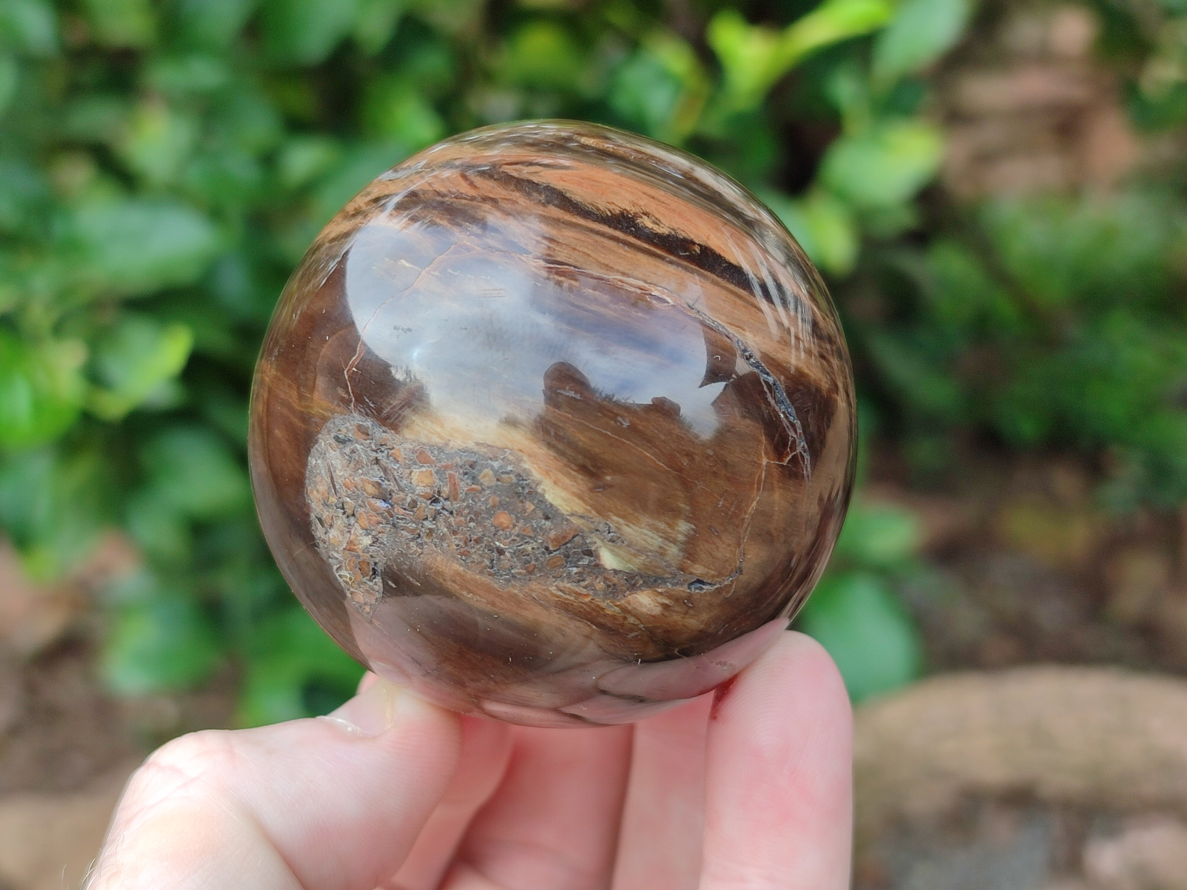 Polished Petrified Wood Spheres x 3 From Gokwe, Zimbabwe - Toprock Gemstones and Minerals 