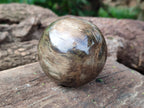 Polished Petrified Wood Spheres x 3 From Gokwe, Zimbabwe - Toprock Gemstones and Minerals 