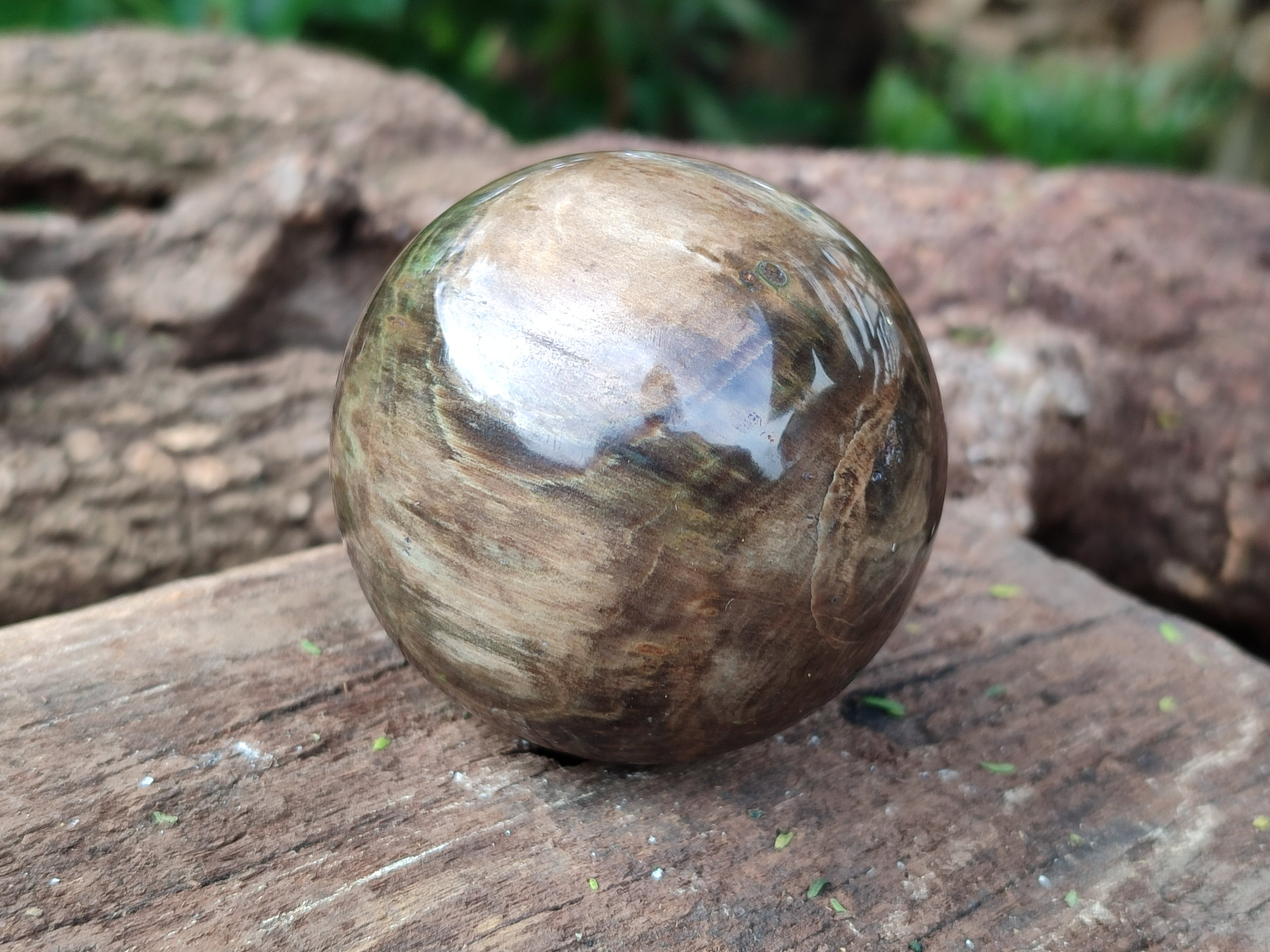 Polished Petrified Wood Spheres x 3 From Gokwe, Zimbabwe - Toprock Gemstones and Minerals 