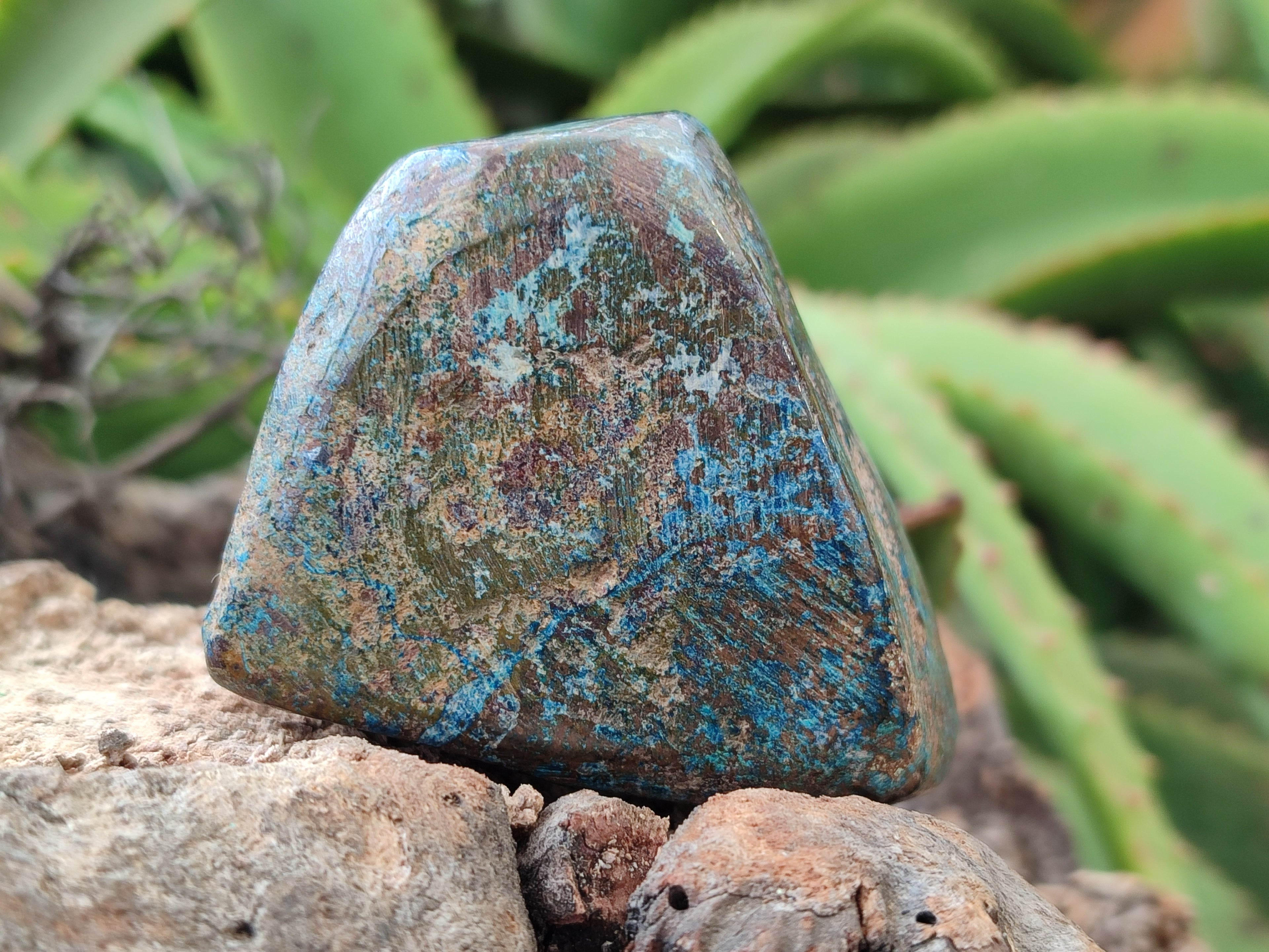 Polished Shattuckite Free Forms x 6 From Congo - Toprock Gemstones and Minerals 