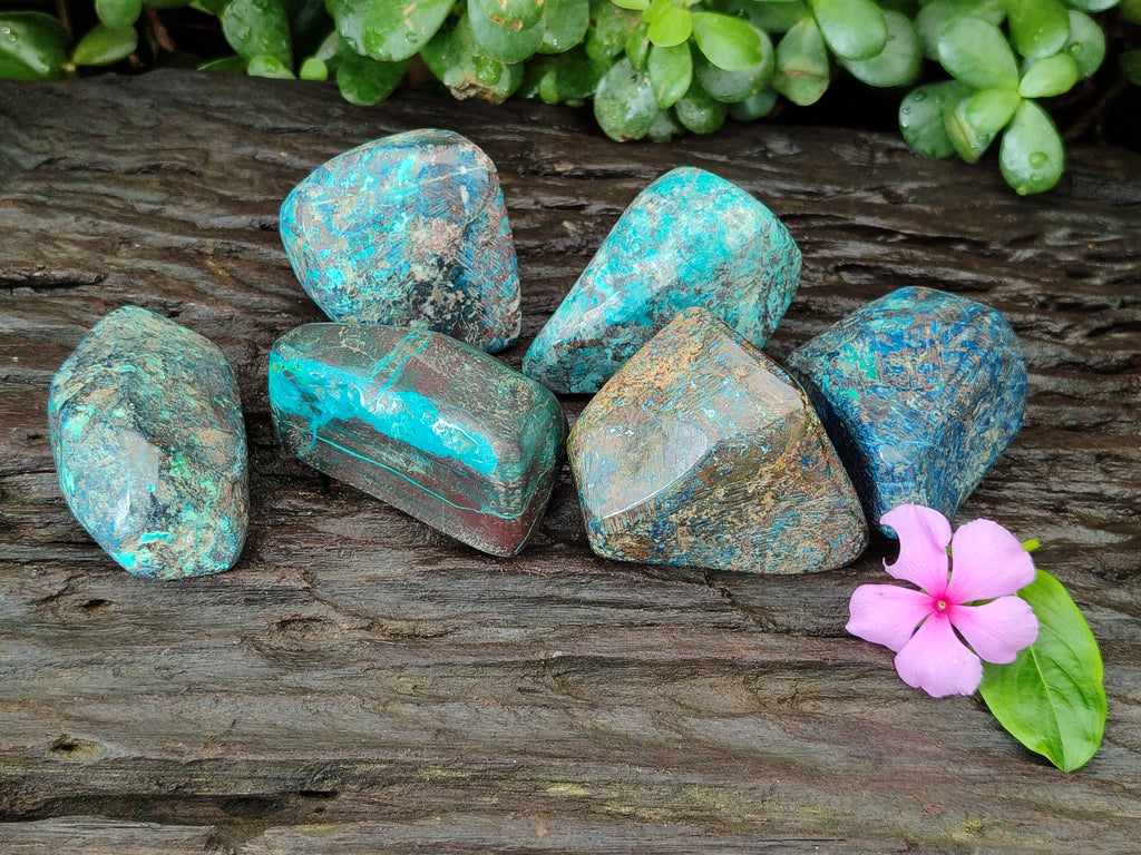 Polished Shattuckite Free Forms x 6 From Congo - Toprock Gemstones and Minerals 