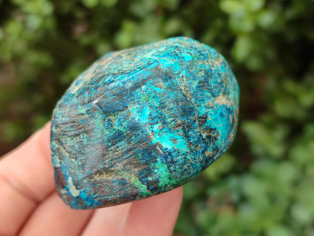 Polished Shattuckite Free Forms x 6 From Congo - Toprock Gemstones and Minerals 