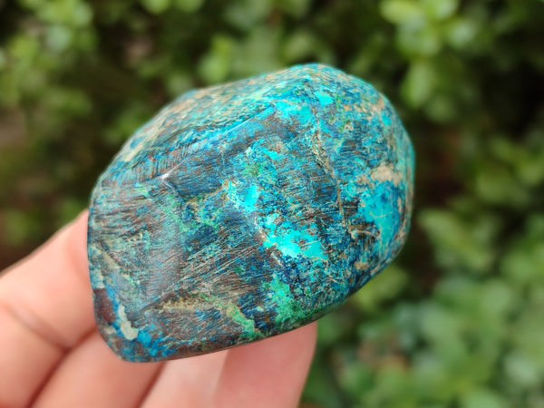 Polished Shattuckite Free Forms x 6 From Congo - Toprock Gemstones and Minerals 