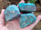 Polished Shattuckite Free Forms x 6 From Congo - Toprock Gemstones and Minerals 