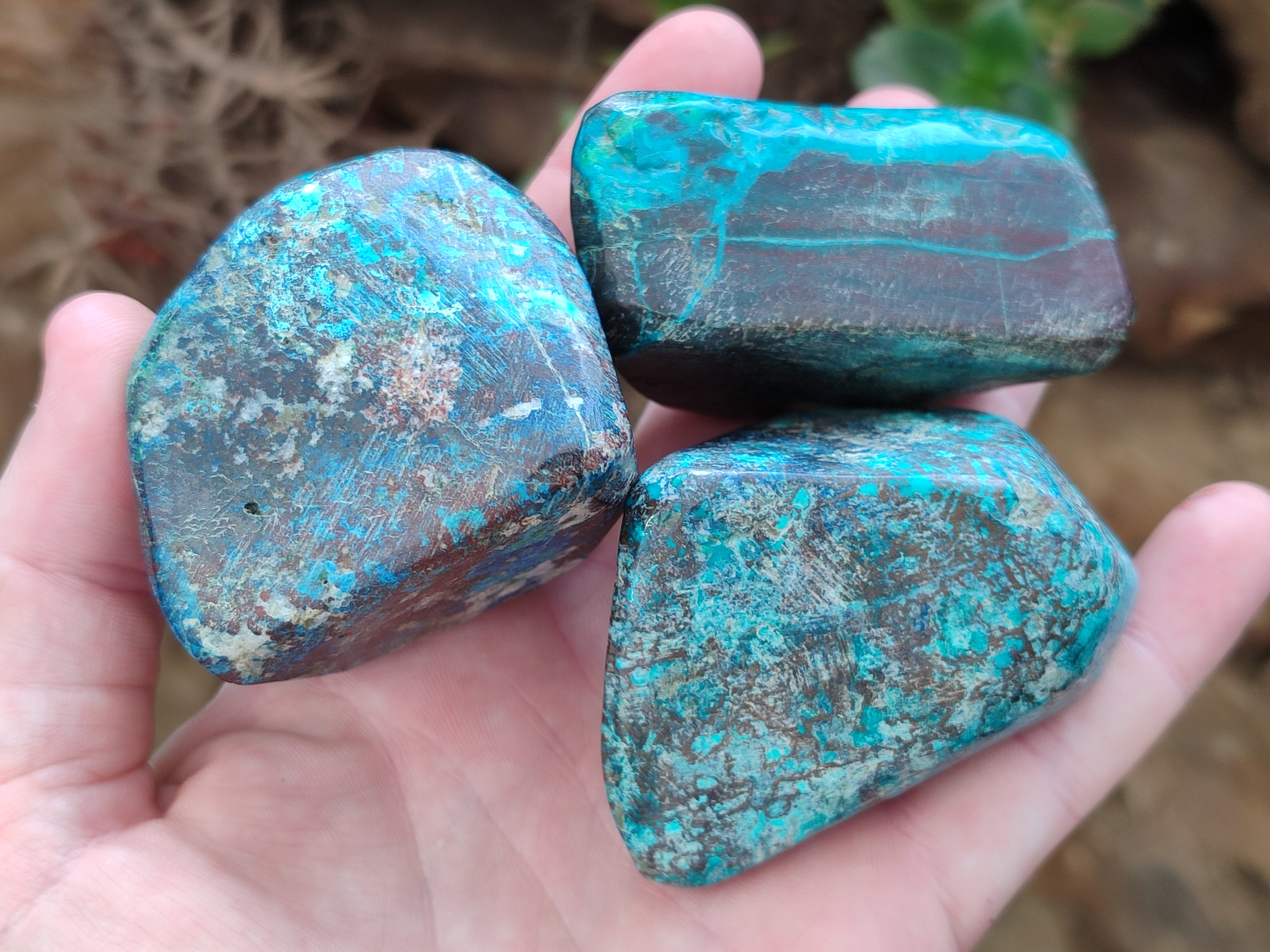 Polished Shattuckite Free Forms x 6 From Congo - Toprock Gemstones and Minerals 