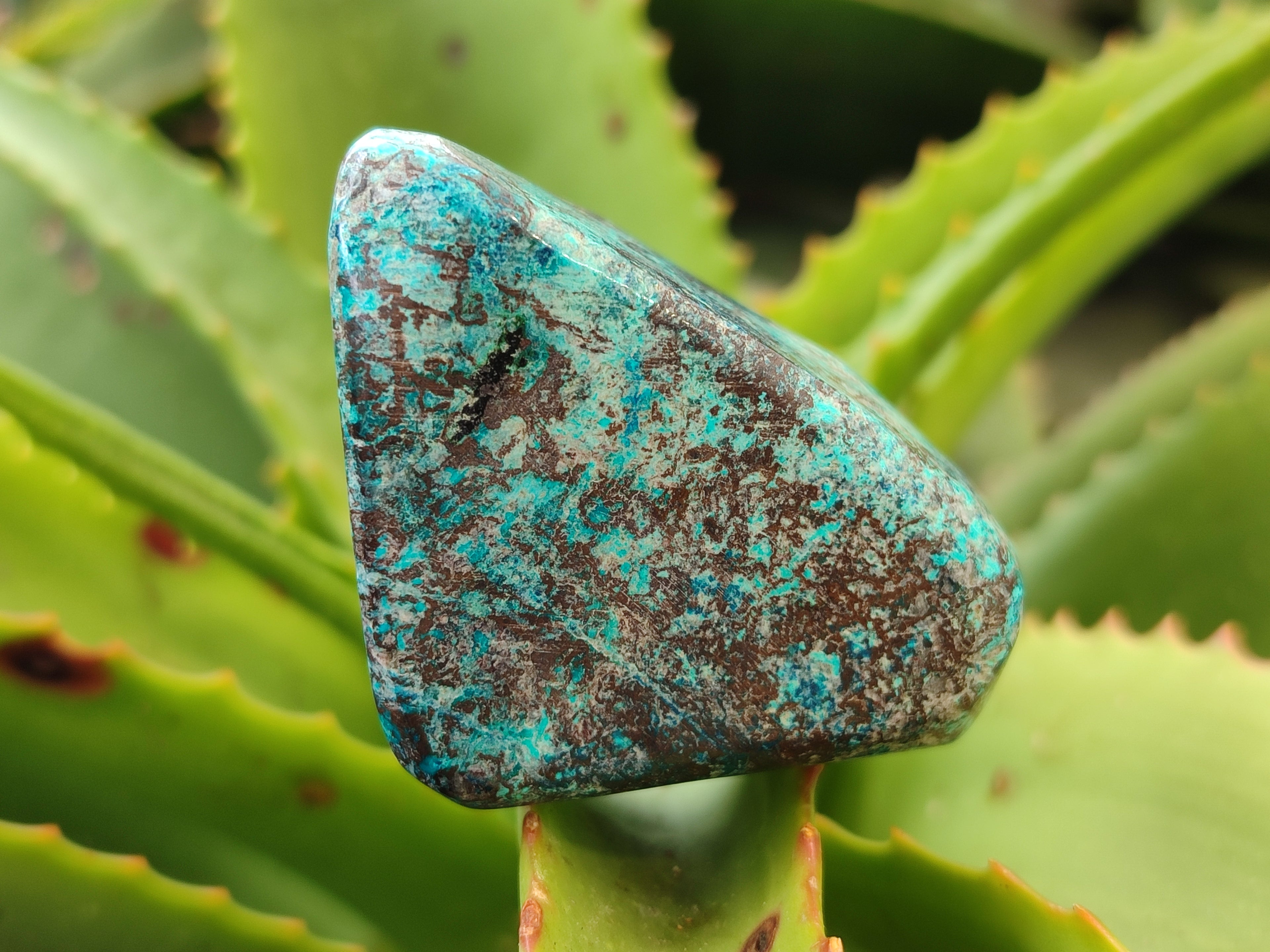 Polished Shattuckite Free Forms x 6 From Congo - Toprock Gemstones and Minerals 