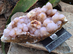 Natural Ametrine Spirit Quartz Cluster x 1 From Boekenhouthoek, South Africa - Toprock Gemstones and Minerals 