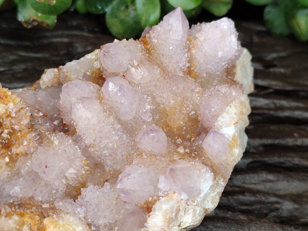Natural Ametrine Spirit Quartz Cluster x 1 From Boekenhouthoek, South Africa - Toprock Gemstones and Minerals 