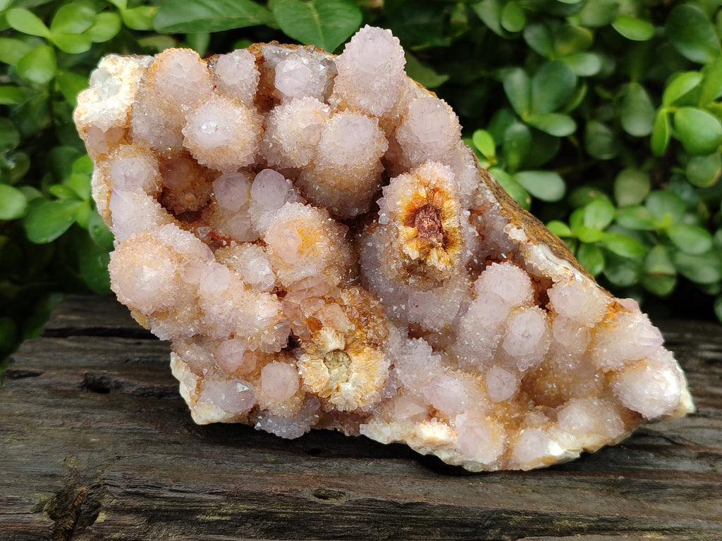 Natural Ametrine Spirit Quartz Cluster x 1 From Boekenhouthoek, South Africa - Toprock Gemstones and Minerals 