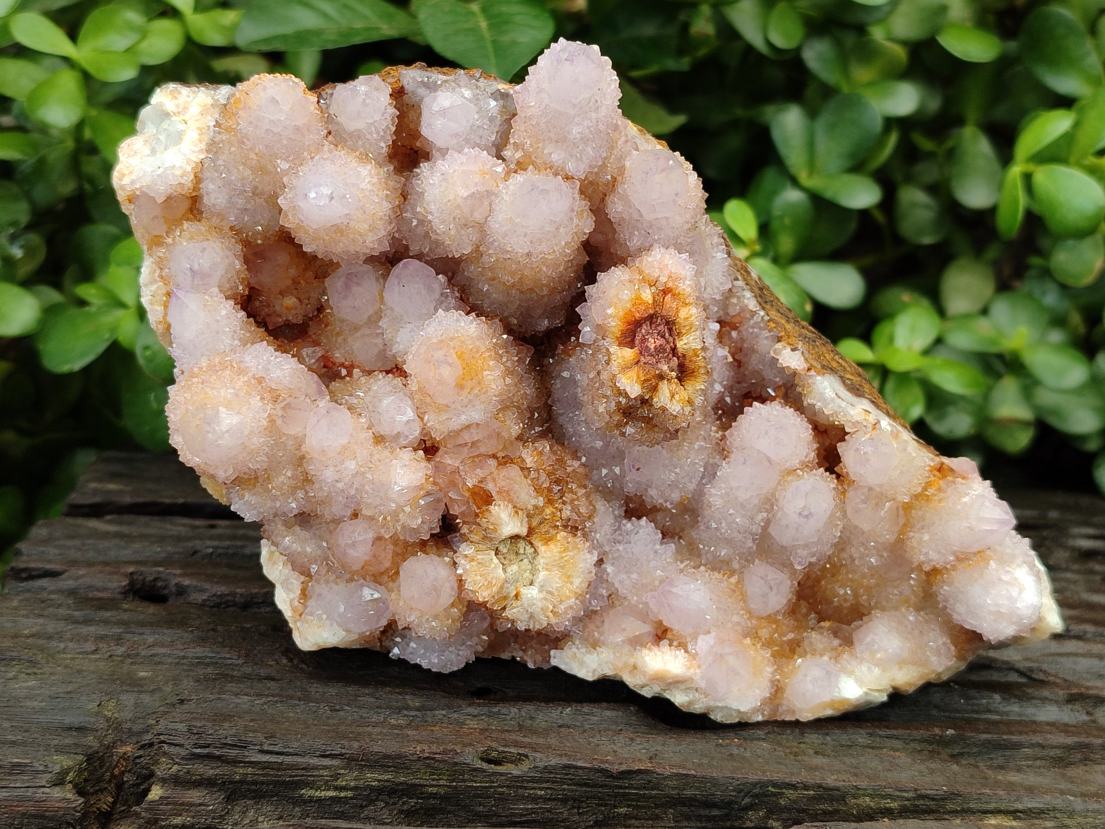 Natural Ametrine Spirit Quartz Cluster x 1 From Boekenhouthoek, South Africa - Toprock Gemstones and Minerals 