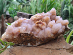 Natural Ametrine Spirit Quartz Cluster x 1 From Boekenhouthoek, South Africa - Toprock Gemstones and Minerals 