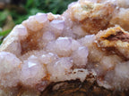 Natural Ametrine Spirit Quartz Cluster x 1 From Boekenhouthoek, South Africa - Toprock Gemstones and Minerals 