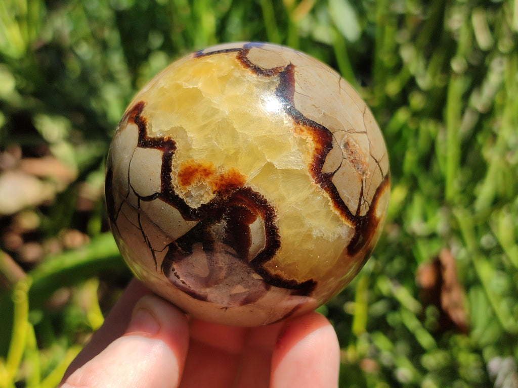 Polished Septerye Spheres x 5 From Mahajanga, Madagascar - Toprock Gemstones and Minerals 