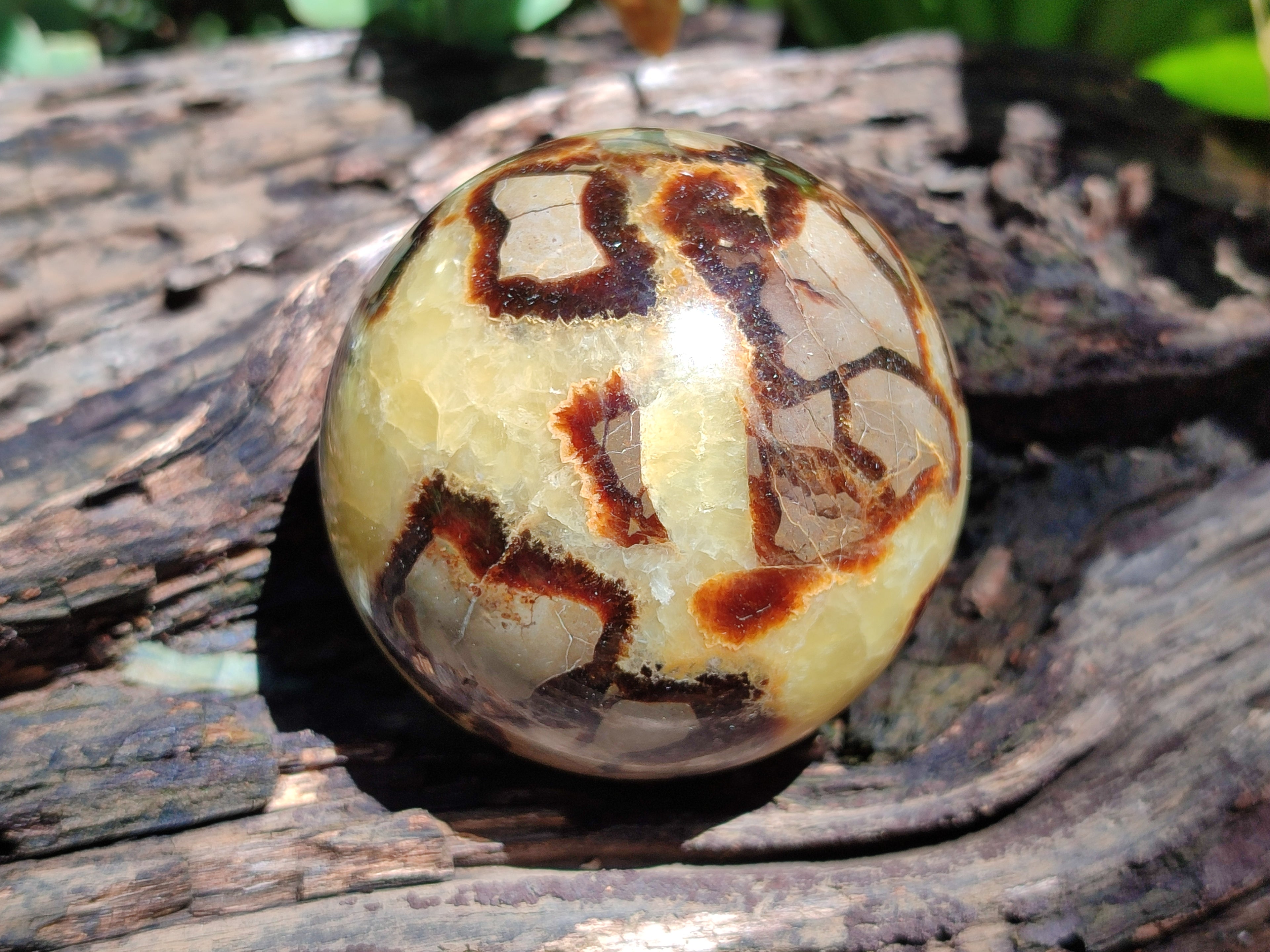 Polished Septerye Spheres x 5 From Mahajanga, Madagascar - Toprock Gemstones and Minerals 