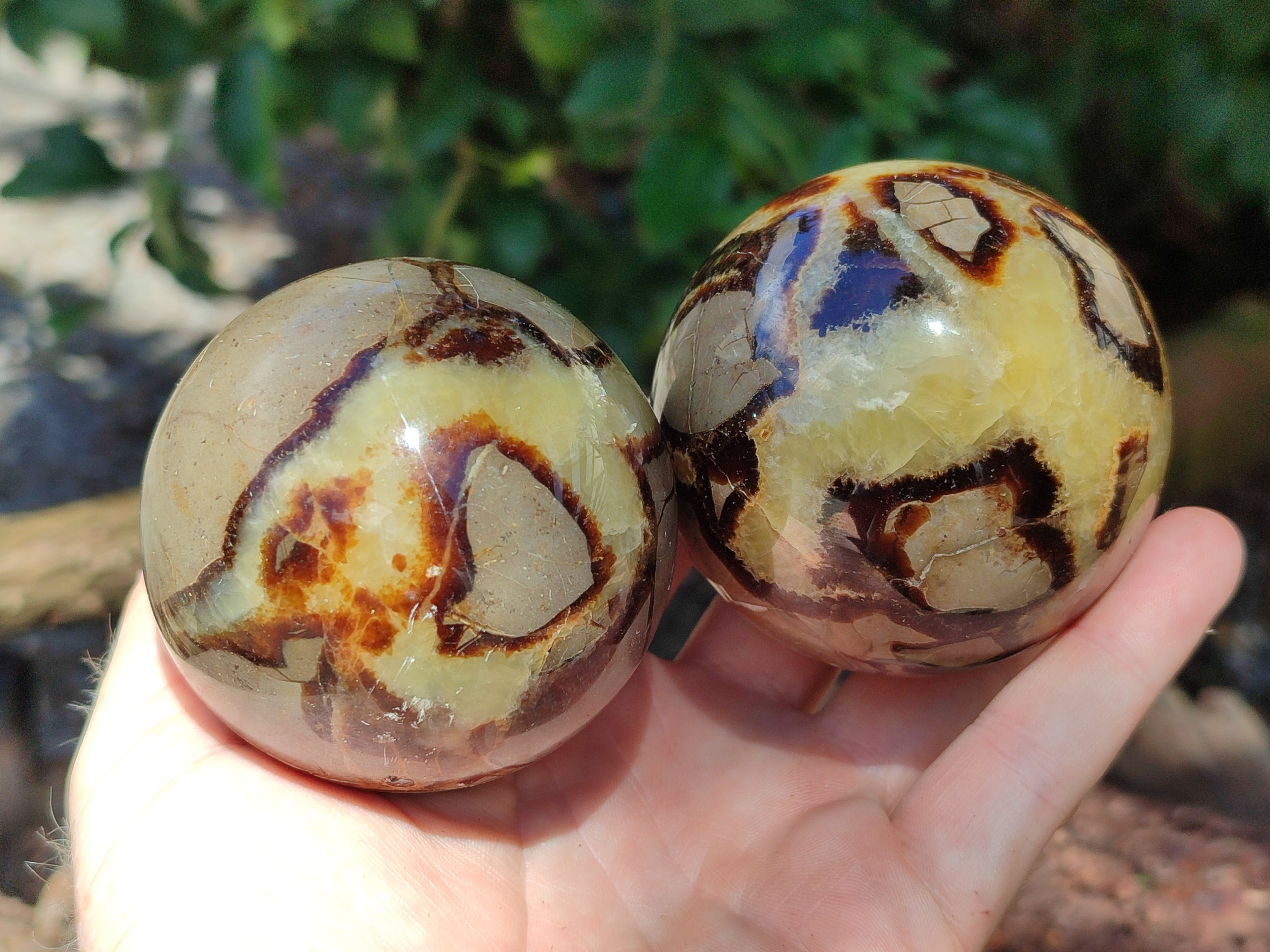 Polished Septerye Spheres x 5 From Mahajanga, Madagascar - Toprock Gemstones and Minerals 