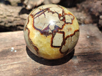 Polished Septerye Spheres x 5 From Mahajanga, Madagascar - Toprock Gemstones and Minerals 