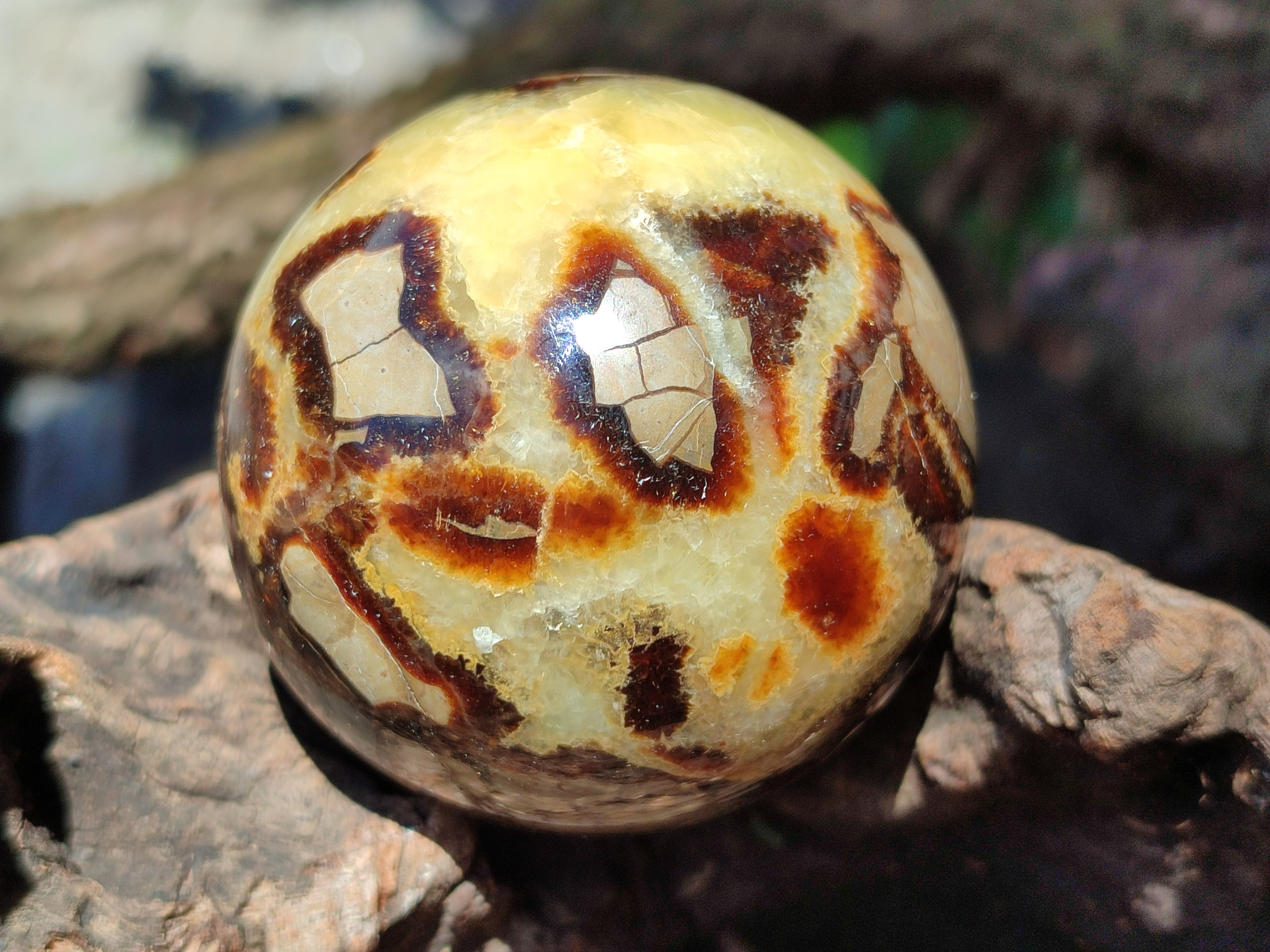 Polished Septerye Spheres x 5 From Mahajanga, Madagascar - Toprock Gemstones and Minerals 