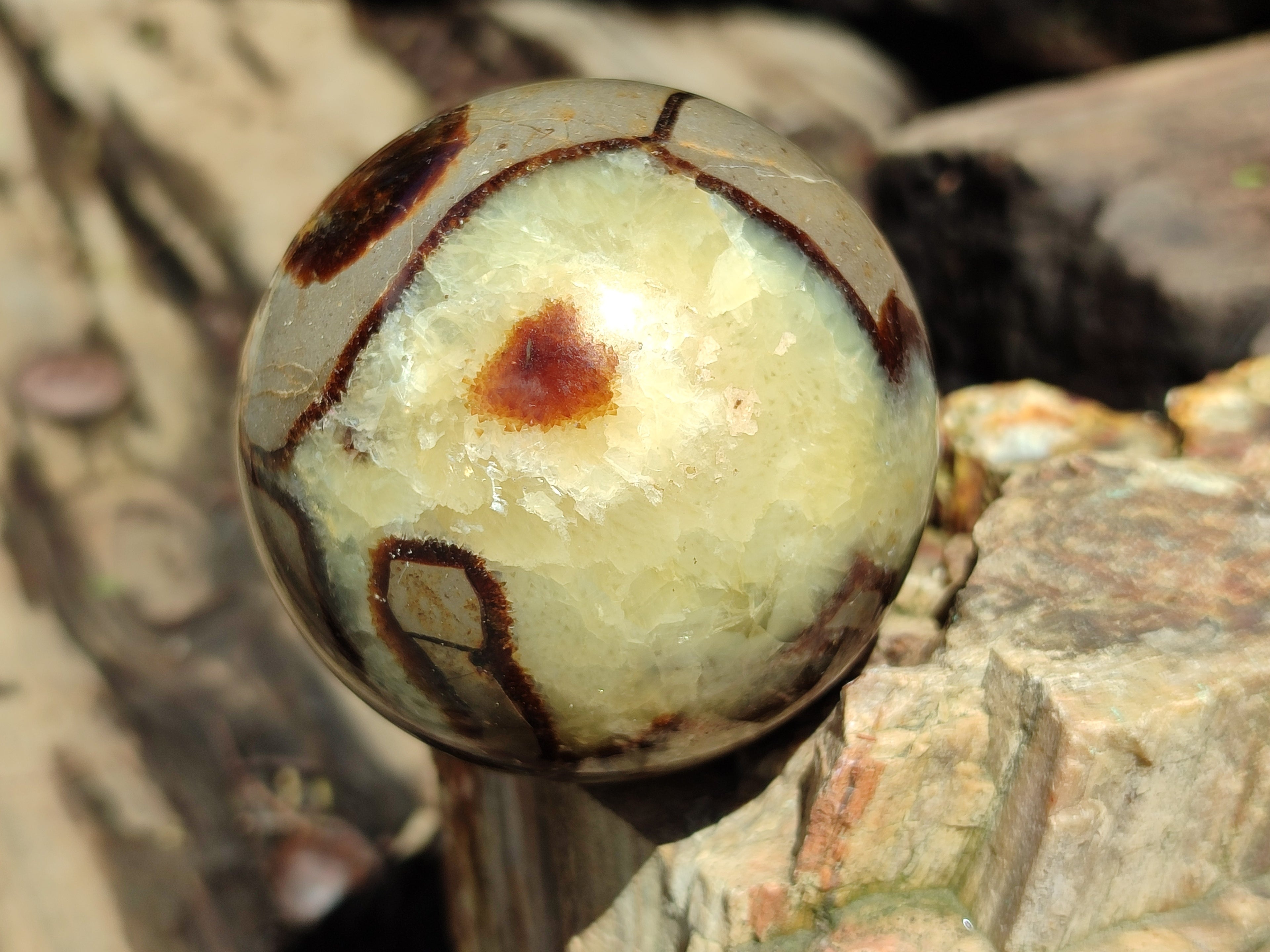 Polished Septerye Spheres x 5 From Mahajanga, Madagascar - Toprock Gemstones and Minerals 