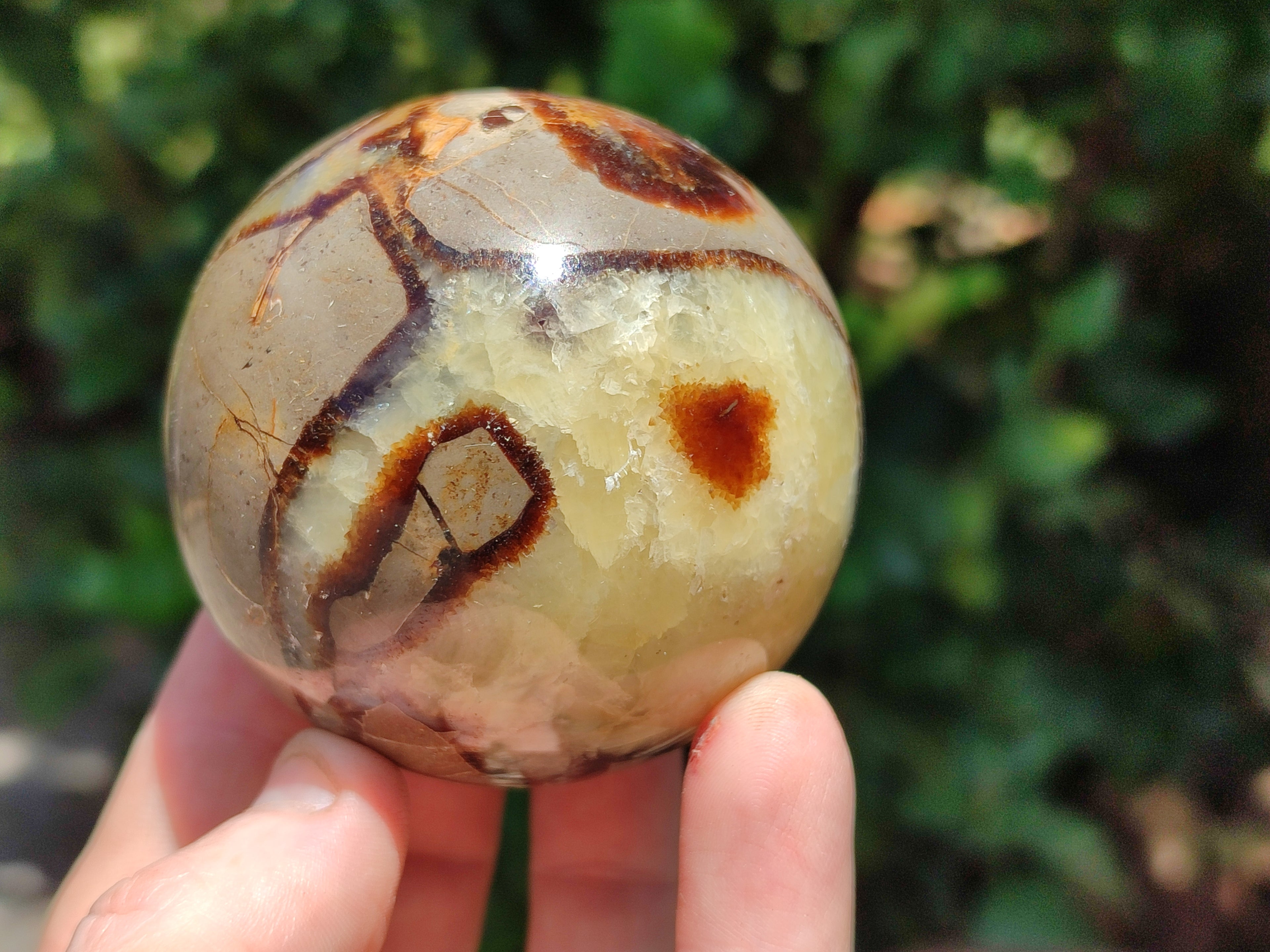 Polished Septerye Spheres x 5 From Mahajanga, Madagascar - Toprock Gemstones and Minerals 