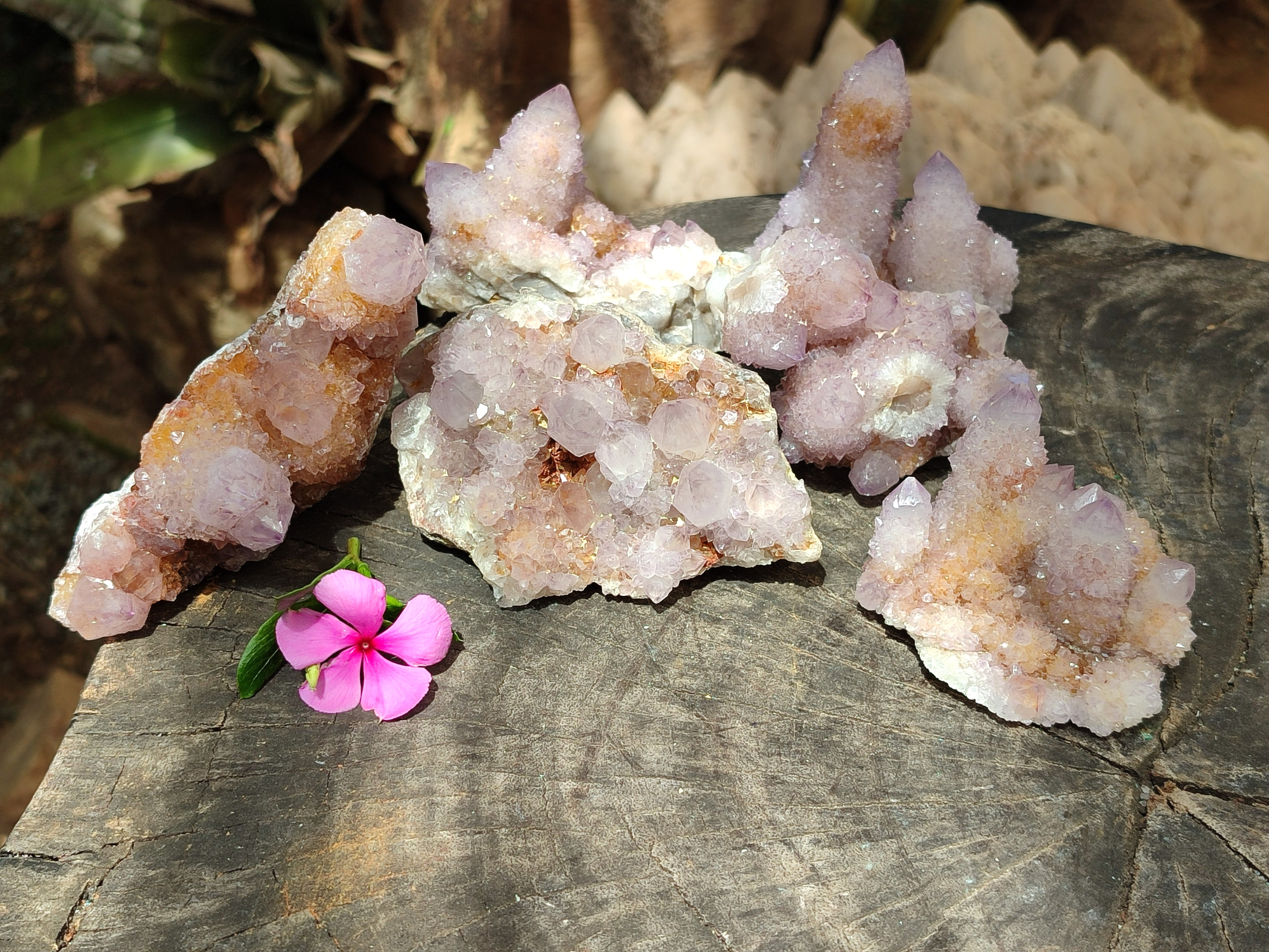 Natural Amethyst Spirit Quartz Clusters x 6 From Boekenhouthoek, South Africa - Toprock Gemstones and Minerals 