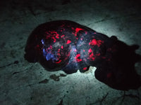 Hand Made Ruby Corundum In Chrome Verdite Hippo Carvings x 2 From Zimbabwe - Toprock Gemstones and Minerals 