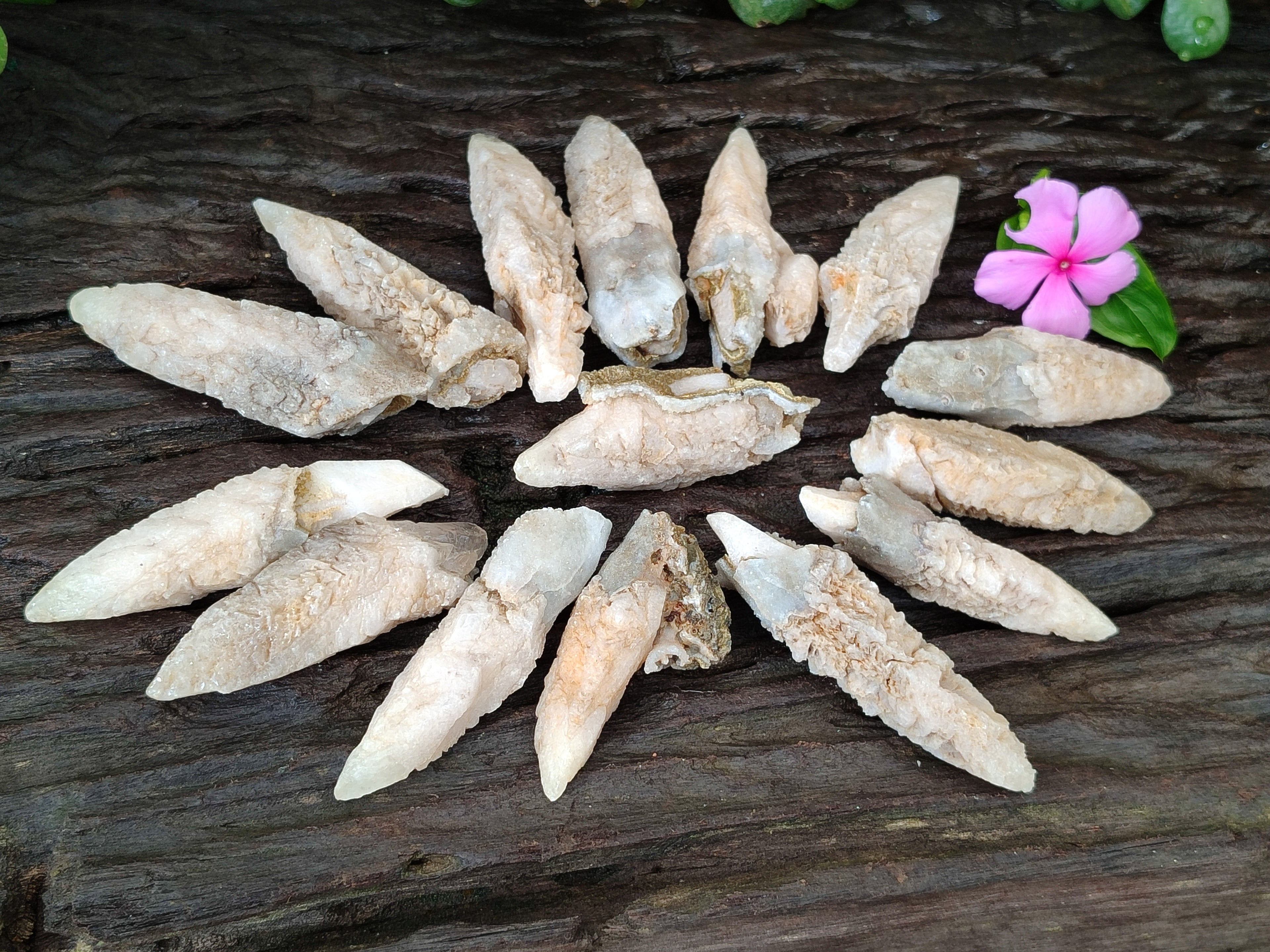 Natural Drusy Quartz Coated Calcite Pseudomorph Specimens x 35 From Lesotho - Toprock Gemstones and Minerals 