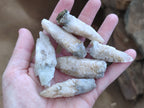 Natural Drusy Quartz Coated Calcite Pseudomorph Specimens x 35 From Lesotho - Toprock Gemstones and Minerals 