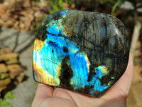 Polished Labradorite Standing Free Forms x 2 From Tulear, Madagascar - Toprock Gemstones and Minerals 
