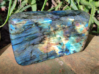 Polished Labradorite Standing Free Forms x 2 From Tulear, Madagascar - Toprock Gemstones and Minerals 
