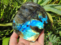 Polished Labradorite Standing Free Forms x 2 From Tulear, Madagascar - Toprock Gemstones and Minerals 