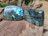 Polished Labradorite Standing Free Forms x 2 From Tulear, Madagascar - Toprock Gemstones and Minerals 