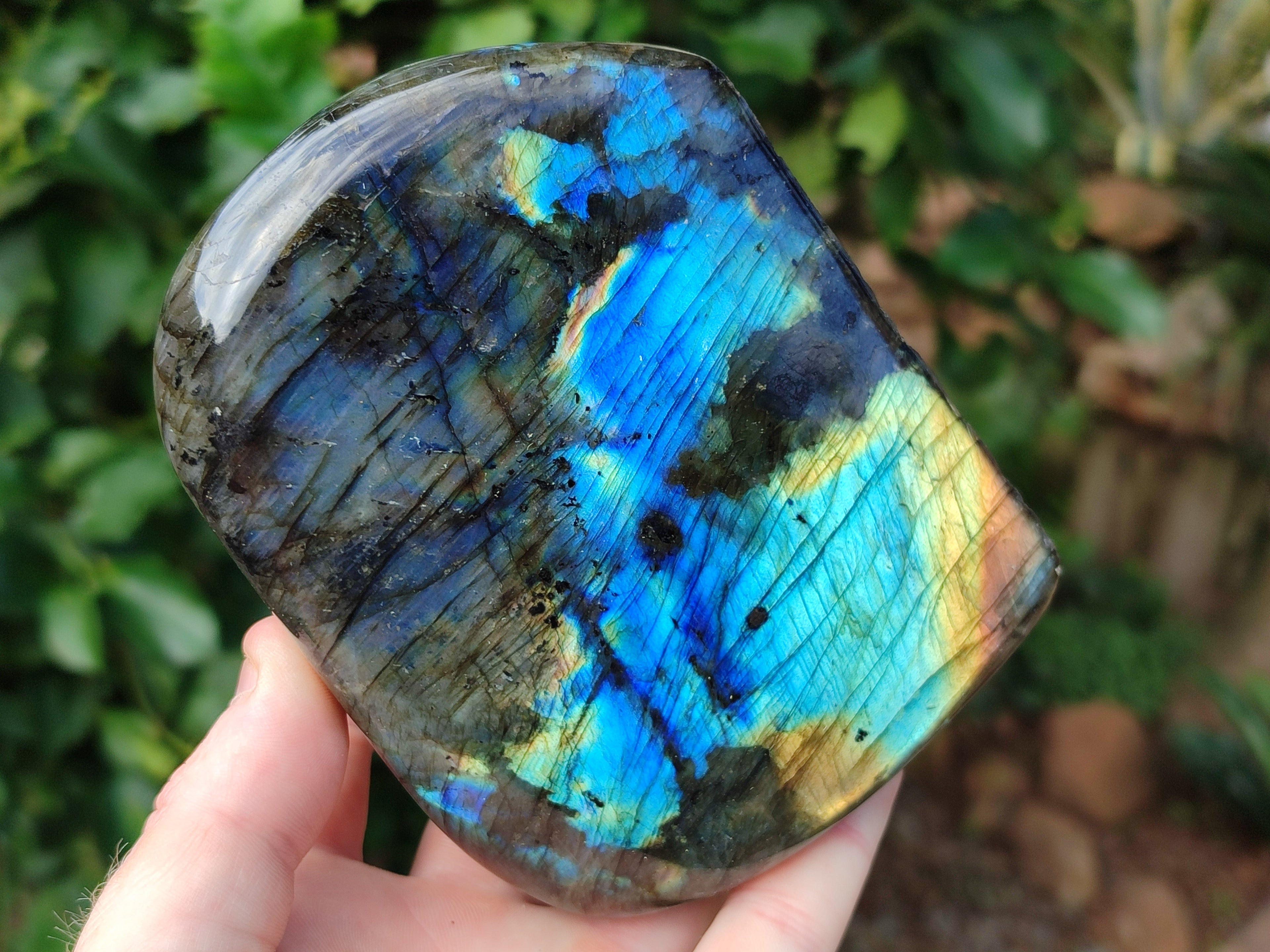 Polished Labradorite Standing Free Forms x 2 From Tulear, Madagascar - Toprock Gemstones and Minerals 