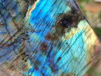 Polished Labradorite Standing Free Forms x 2 From Tulear, Madagascar - Toprock Gemstones and Minerals 