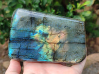 Polished Labradorite Standing Free Forms x 2 From Tulear, Madagascar - Toprock Gemstones and Minerals 