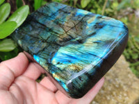 Polished Labradorite Standing Free Forms x 2 From Tulear, Madagascar - Toprock Gemstones and Minerals 