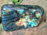 Polished Labradorite Standing Free Forms x 2 From Tulear, Madagascar - Toprock Gemstones and Minerals 