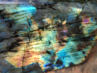 Polished Labradorite Standing Free Forms x 2 From Tulear, Madagascar - Toprock Gemstones and Minerals 