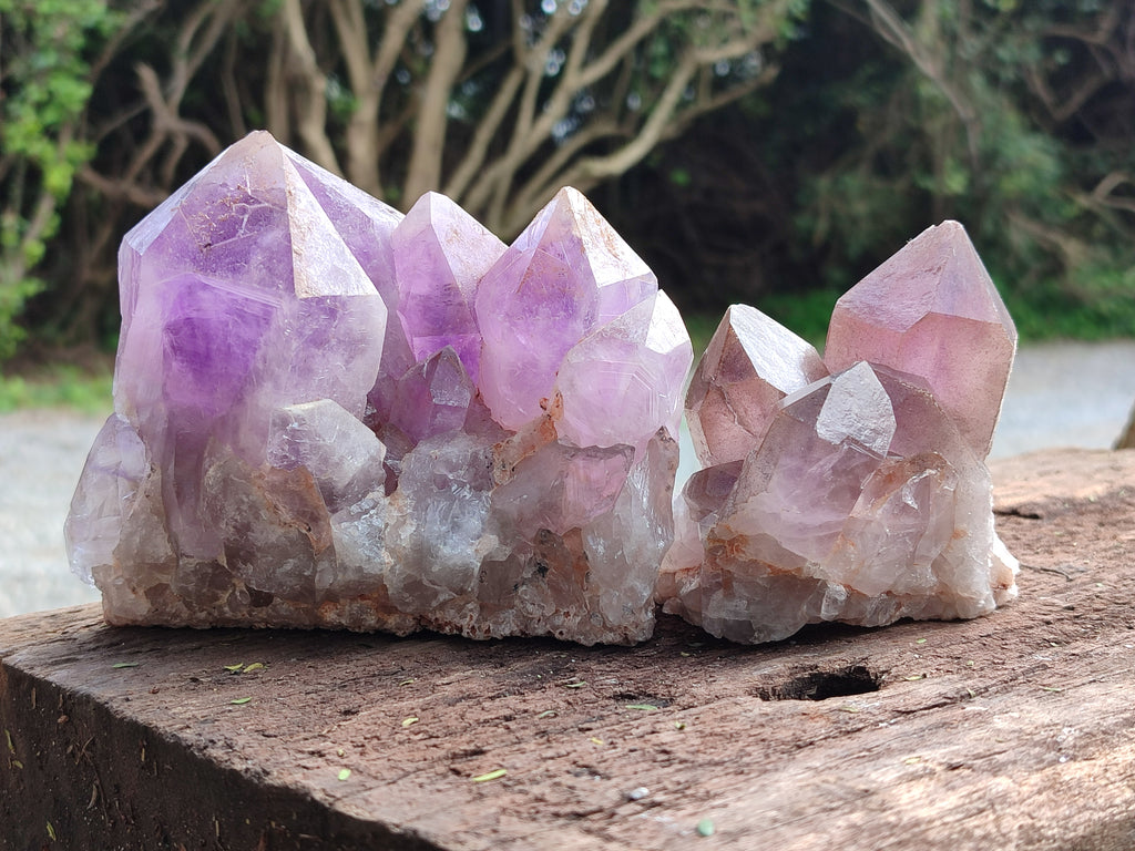 Natural Jacaranda Amethyst Quartz Clusters x 2 from Mumbwa, Zambia - Toprock Gemstones and Minerals 